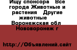 Ищу спонсора - Все города Животные и растения » Другие животные   . Воронежская обл.,Нововоронеж г.
